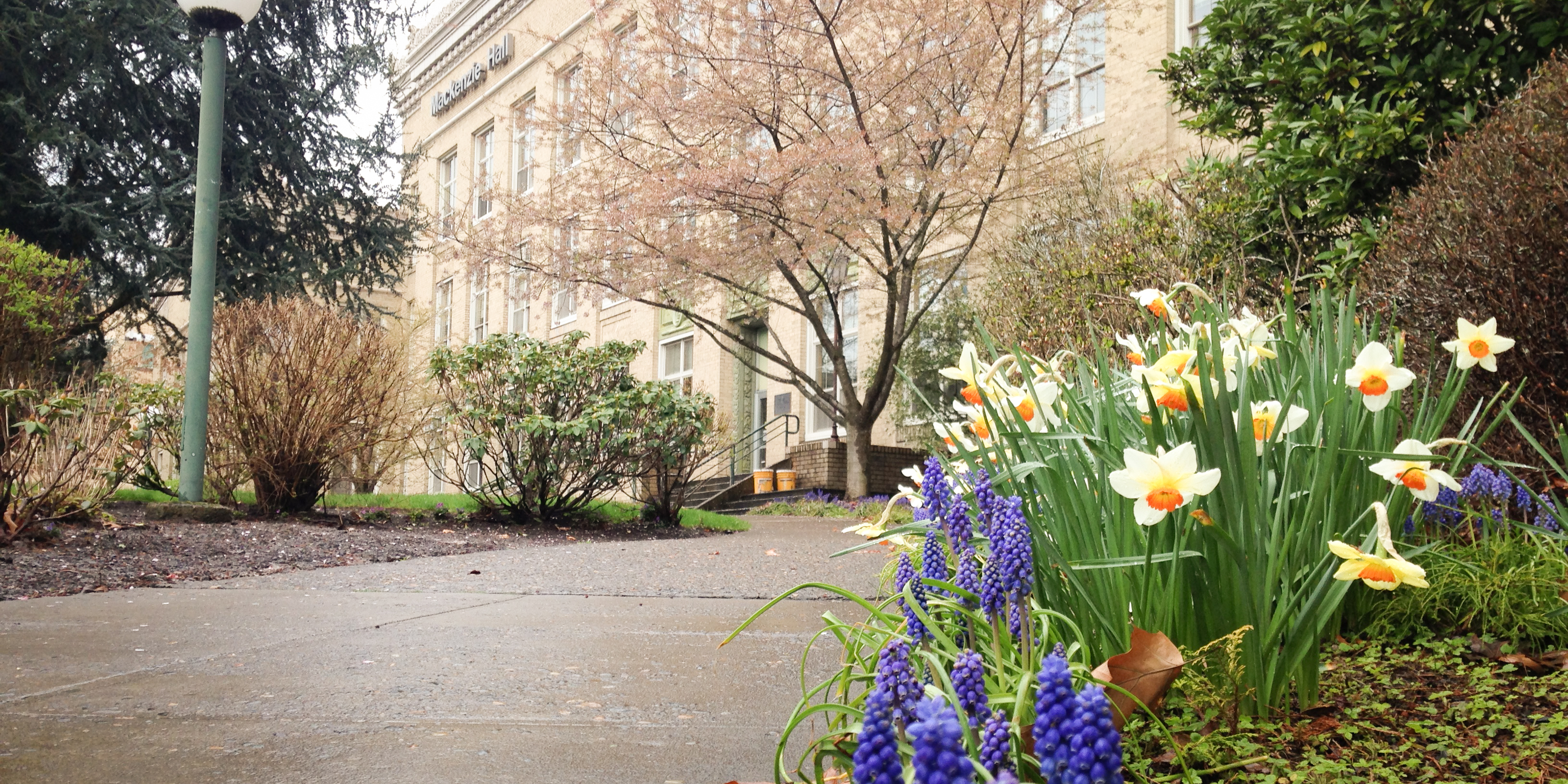 Springtime flowers outside of Mac Hall at 博彩网站