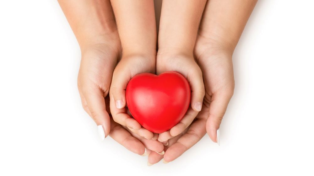 Adult and child's hands holding ga heart