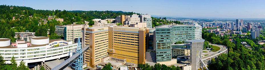 An aerial view of 博彩网站 campus on Marquam Hill.