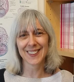 Suzanne Mitchell