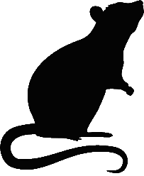 sillhouette of a rat