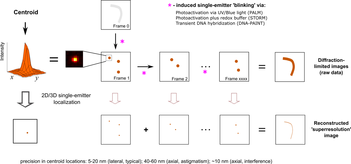 Figure 1. Superresolution microscopy (SRM) based on single-molecule localization.