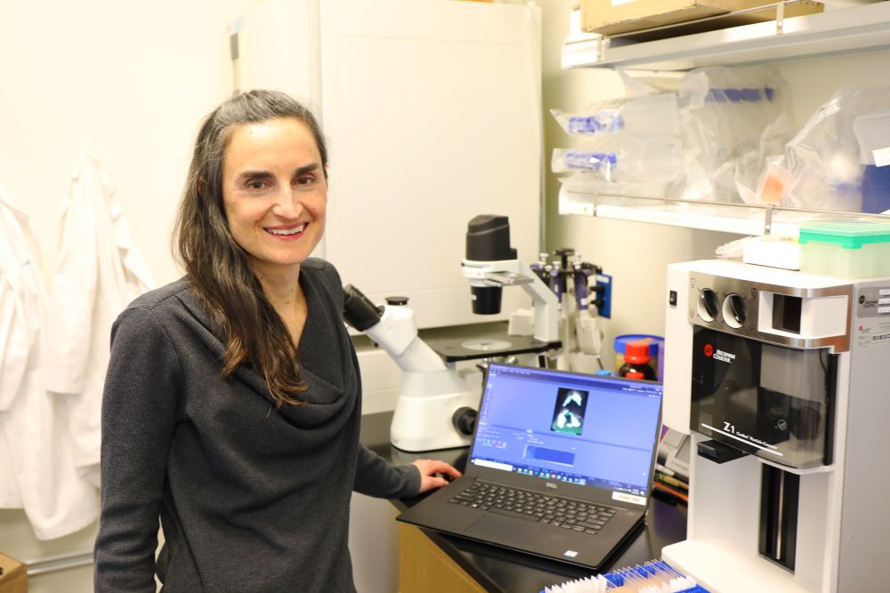 Laura Heiser, Ph.D. Heiser's in her lab; her research focuses on genomic and epigenomic changes that cause breast cancer Laura Heiser, Ph.D. Heiser's research focuses on genomic and epigenomic changes that cause breast cancer