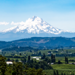 Mount Hood