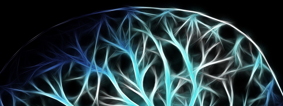 Blue and green synapses outline a shape of the brain.