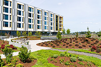 The pavilion’s rooftop includes a healing garden, a natural space with plants, sidewalks, benches and outdoor tables.