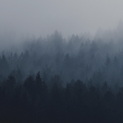 placeholder for image