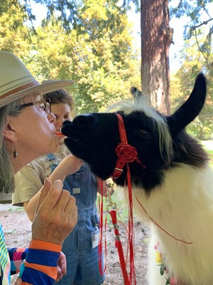 Pepper & Llama