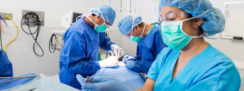 Surgical techs at 博彩网站 are experts in keeping operating room equipment safe, clean and working properly