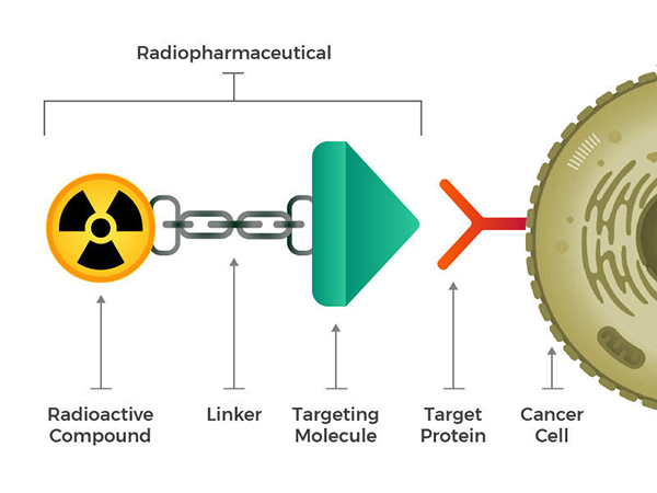 A cancer cell is depicted as a large green ball.