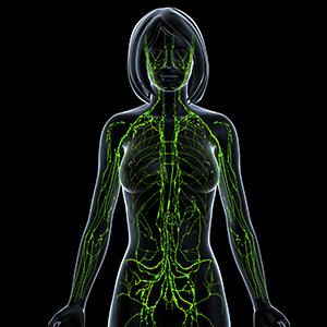 An outline of the human body shows a network of lines and nodes extending through the arms and torso.