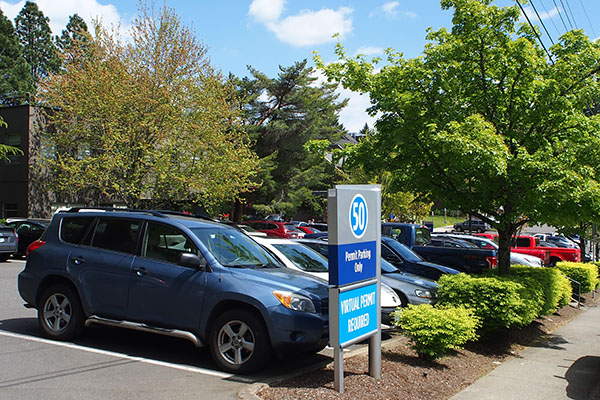 Parking Lot 50 Parking Lot 50