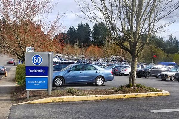 Parking Lot 60 Parking Lot 60