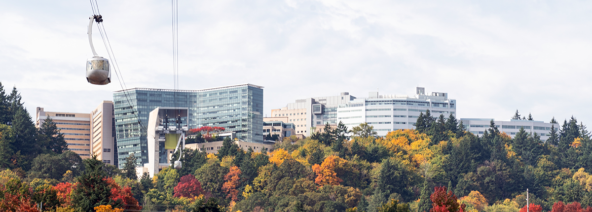 Marquam Hill Campus from South Waterfront