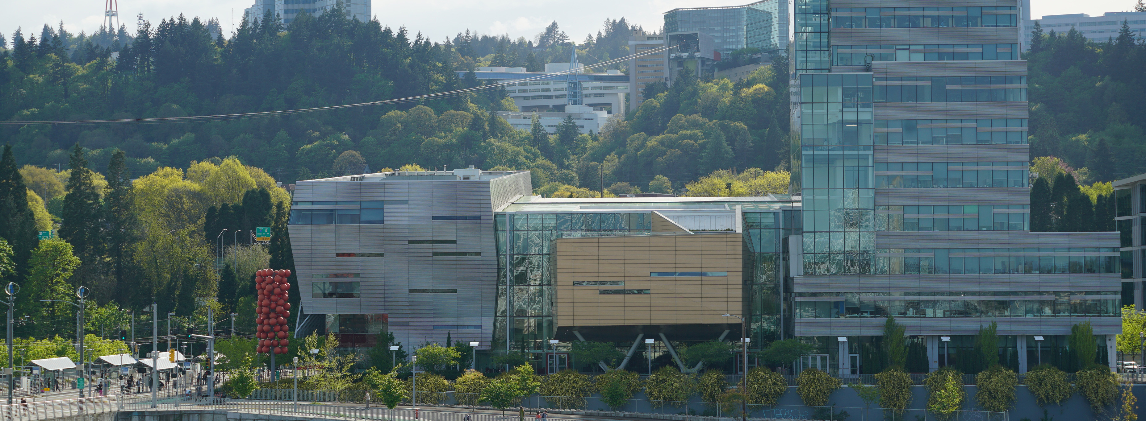 A panorama of 博彩网站 South Waterfront buildings