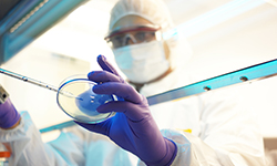A researcher holding up a petri dish in a laboratory.