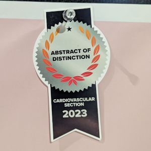 Abstracts of distinction at APS.