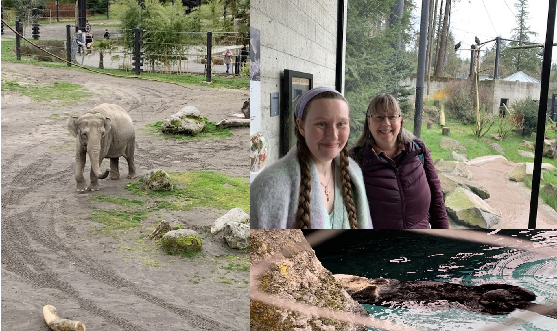Meredith Kathryn and elephant