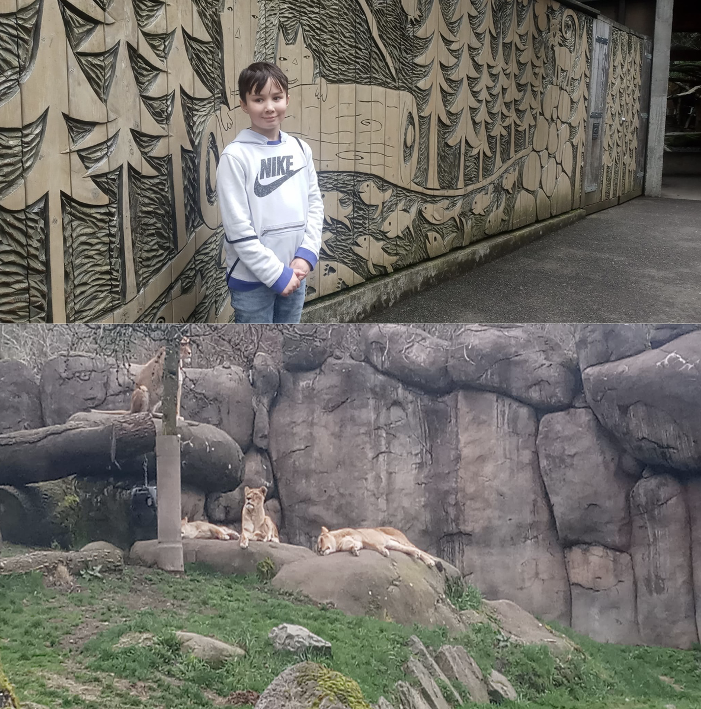 Mason and lions