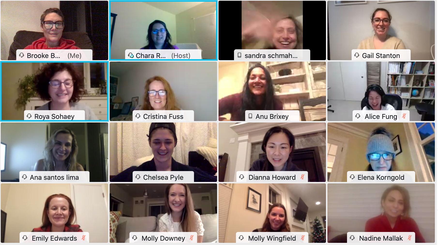 2nd Annual and 1st Virtual Holiday Drinks & Cookie Exchange. Organized by Chara Rydzak, MD, PhD and Sandra Schmahmann, MD.
