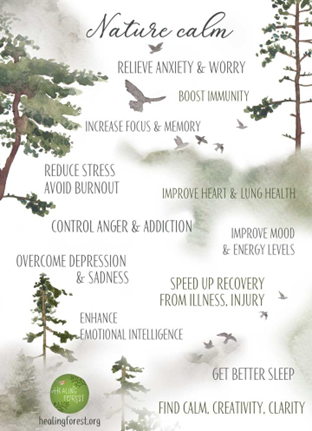 Image with birds and trees in the background with lettering saying Nature Calm, relieve anxiety & worry