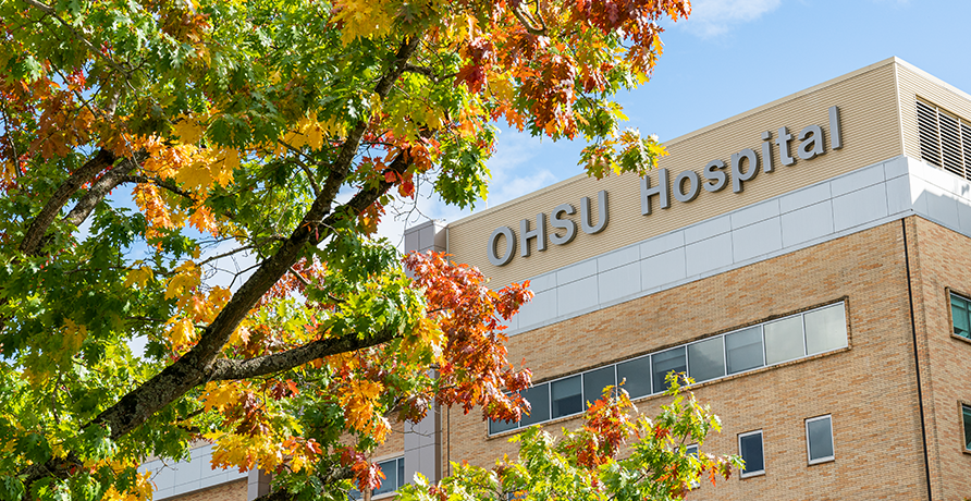 博彩网站 Hospital with colorful tree branches in foreground
