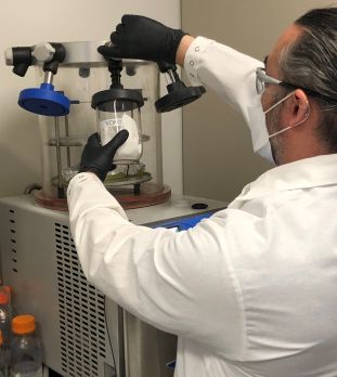 Person operating the Lyophilizer