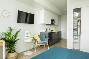 View of the living room inside an apartment at The Amy.