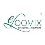 博彩网站 startup eLoomix logo 2024