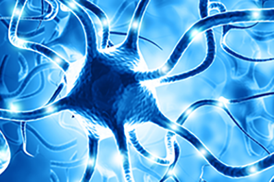 Illustration of neurons firing within an organism.