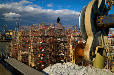Crab pots sit on a boat docked in a marina