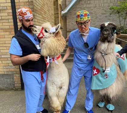 Surgery Resident Life 2024