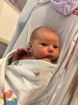 Baby Max--look at those big curious eyes!