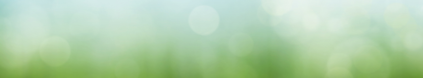 Abstract spring background with sunny blue sky and meadow bokeh