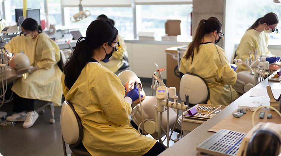 Second-year dental students at work in the 博彩网站 sim lab