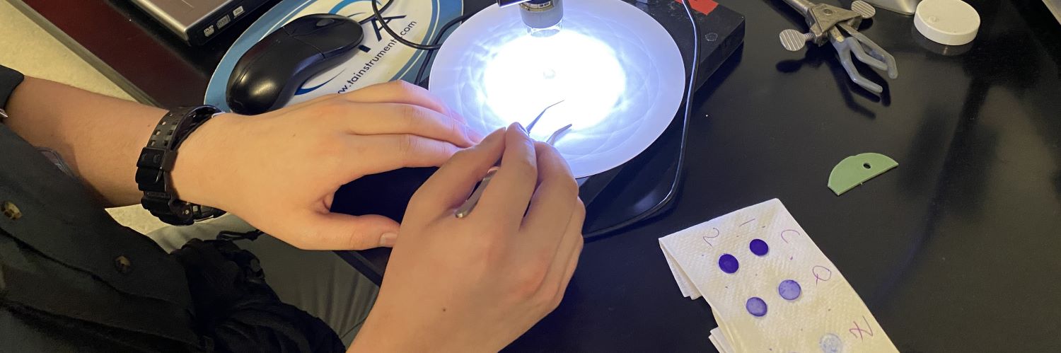 picture of hands working under a blue light.