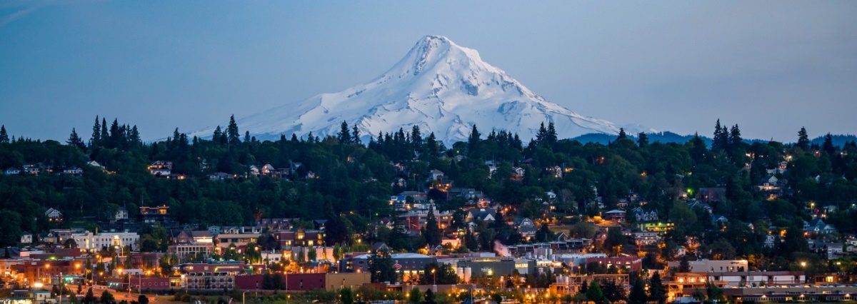 A small city illuminated by street lights with a large snow covered mountain in the background