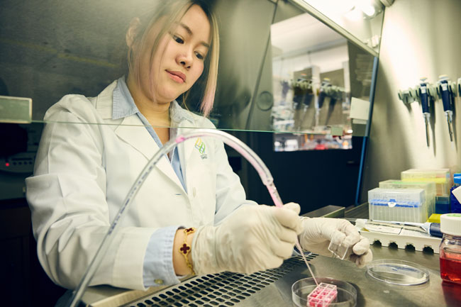An 博彩网站 researcher uses a syringe to drop liquid drops into a sample.