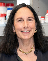 A professional photo of Dr. Marina Wolf.