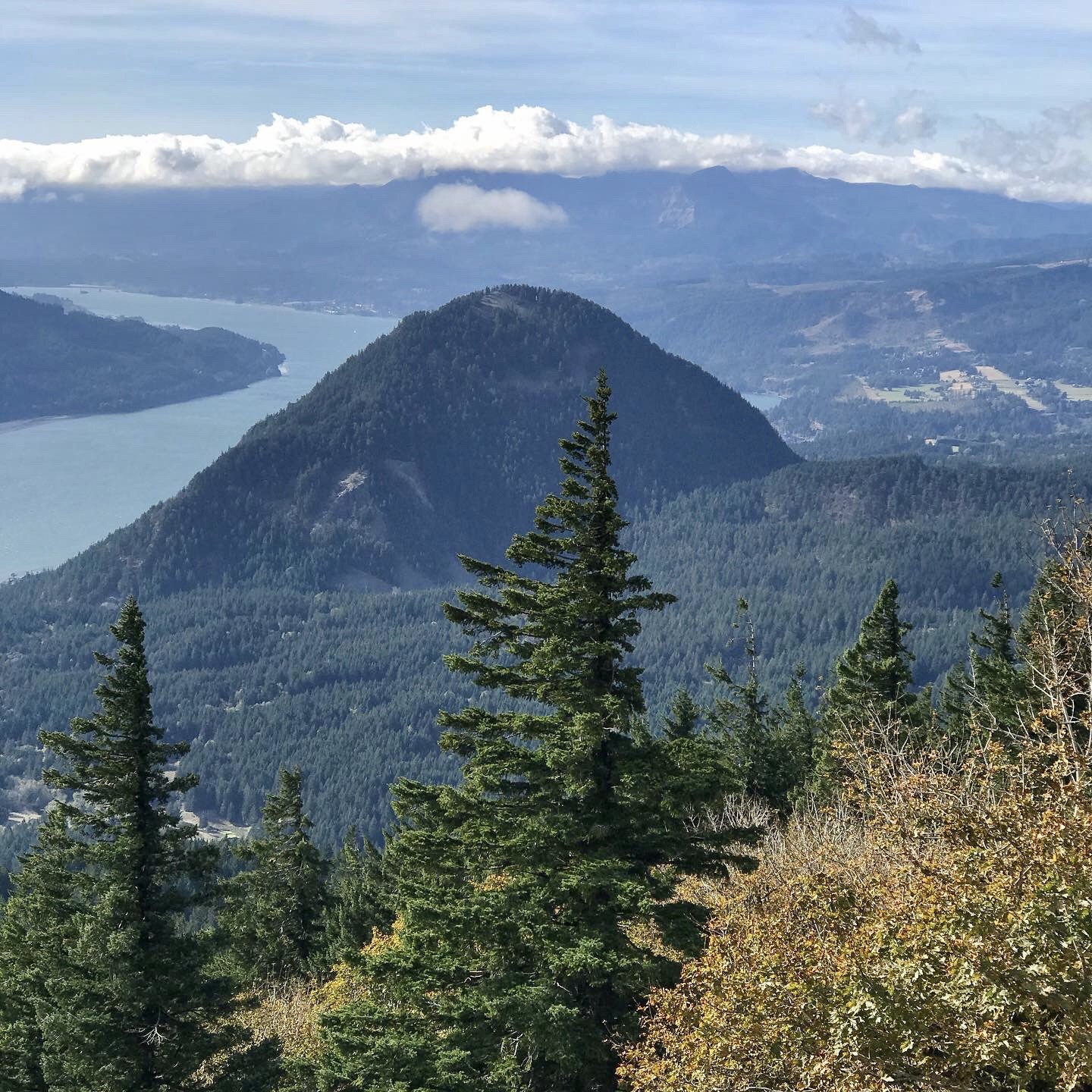 Photograph of trees and mountains