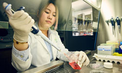 A researcher runs a test in a lab at 博彩网站.