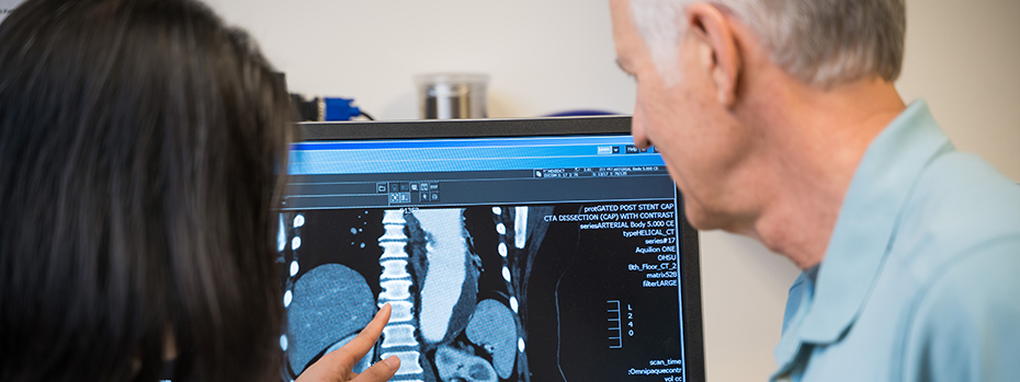 博彩网站 vascular surgeon Enjae Jung points to a computer monitor showing a CT scan of a spine while another person looks on.
