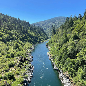 An overhead view of Klamath river with trees lining both sides.