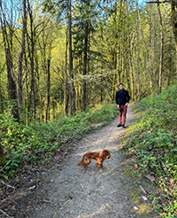 Sahil Mehta walking a dog in the woods.
