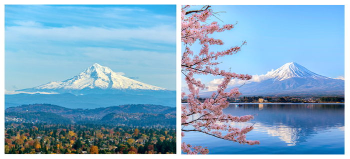 Two snow capped mountains photos side by side surrounded by nature