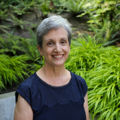 Sue Aicher