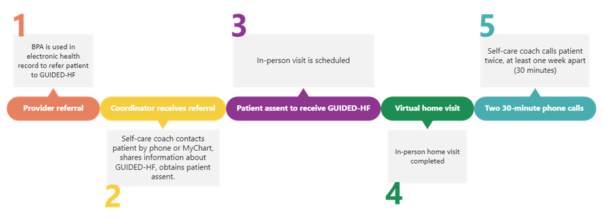 GUIDED-HF step by step intervention process