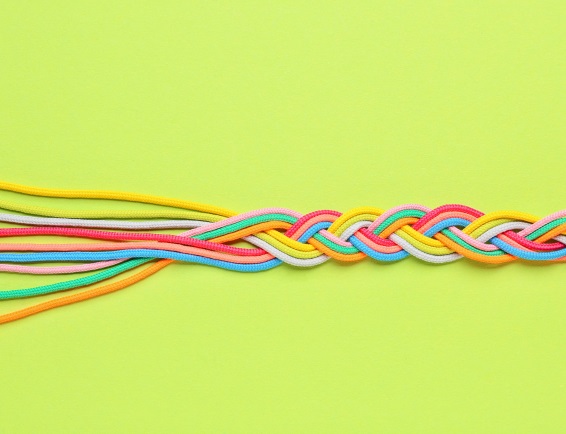 CHSE Braid Image