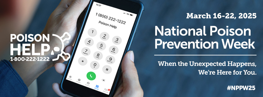 A hand hods a smartphone showing the Poison Help hotline: 1-800-222-1222.