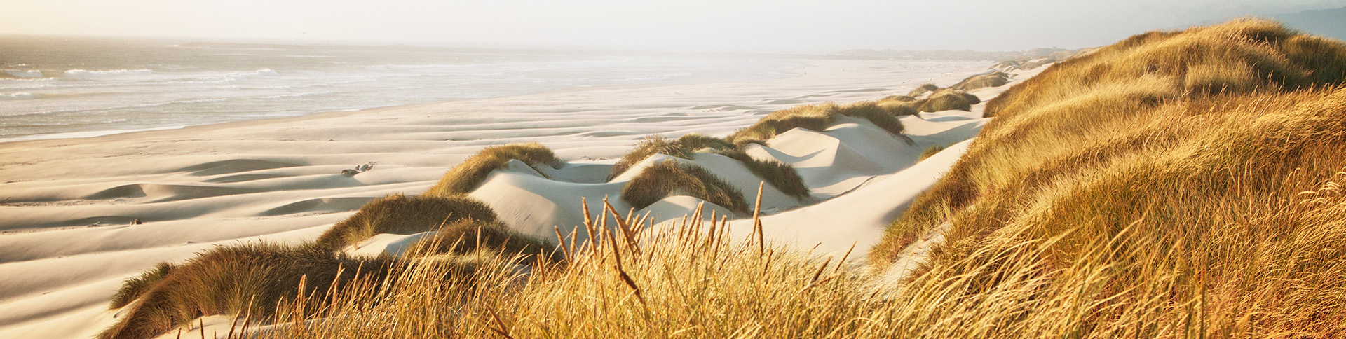 Oregon coast
